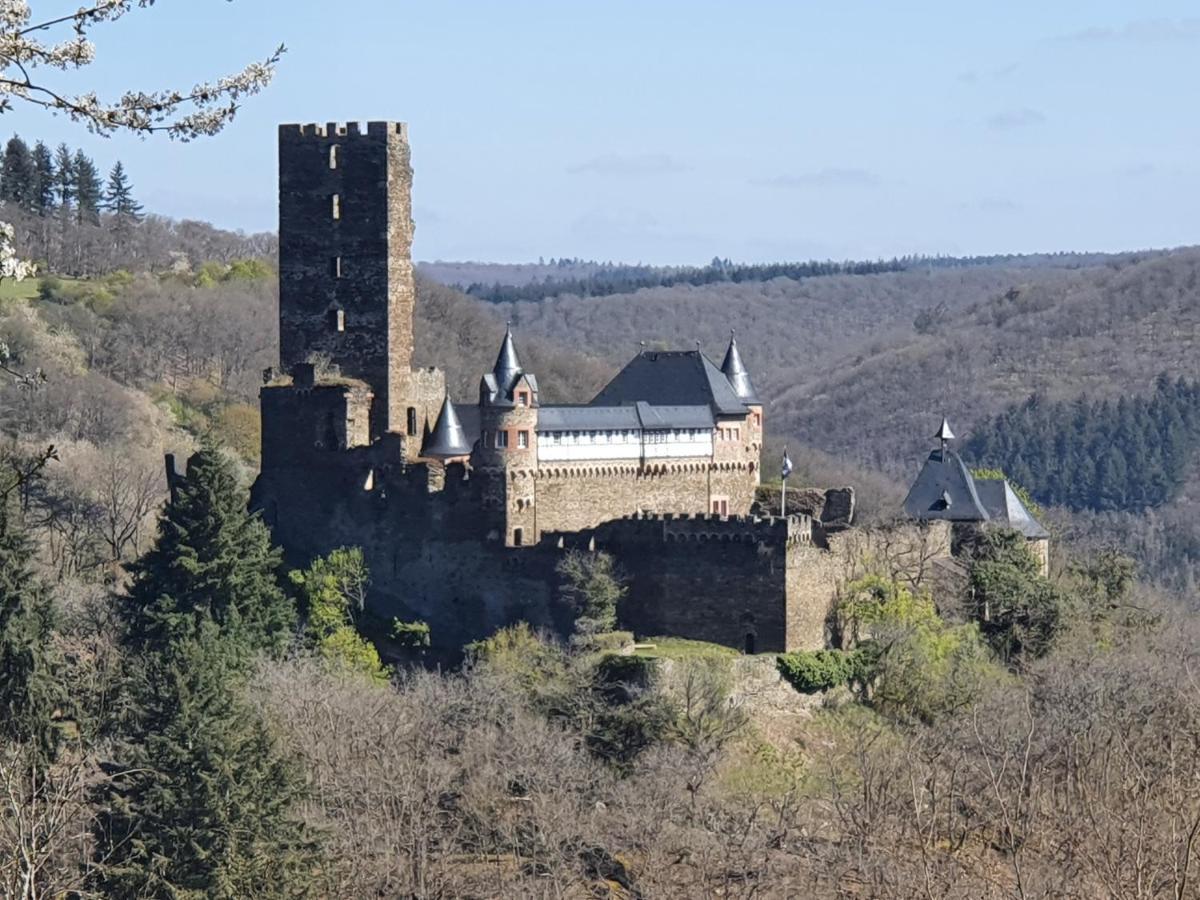 Am Burggraben Auf Der Sauerburg Apartment Sauerthal ภายนอก รูปภาพ